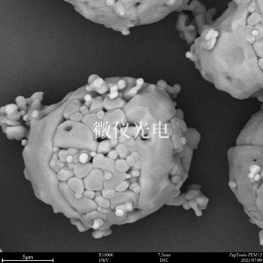 臺式掃描電鏡與傳統(tǒng)落地式掃描電鏡有什么區(qū)別呢？